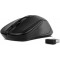 Mouse SVEN RX-270W, Wireless, black, USB