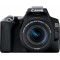 DSLR Camera CANON EOS 250D 18-55 IS STM Black (3454C007)