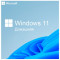 Windows HOME FPP 11 64BIT RU NOT TO RUS