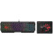 Gaming Keyboard & Mouse & Mouse Pad Bloody B1700, (B140N/ES7/BP-50M), Black, USB